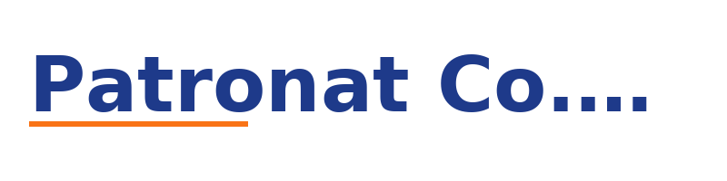 Patronat Co.Ltd logo